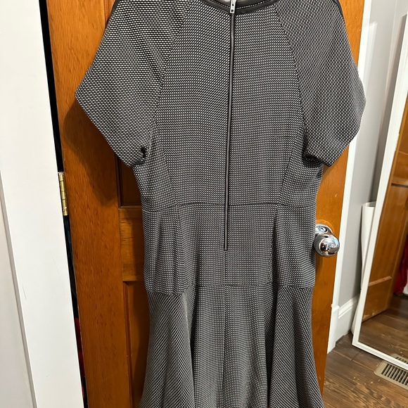 Rag and Bone Dress with Leather Trim - Picture 4 of 4